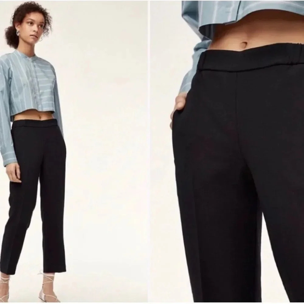 Wilfred Aritzia Darontal Black Cropped Pants